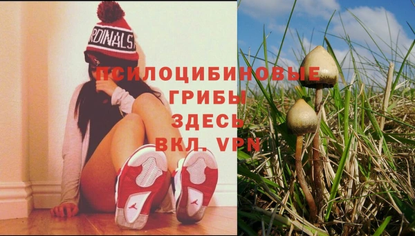 таблы Дмитров