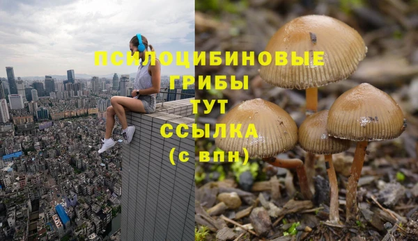 таблы Дмитров