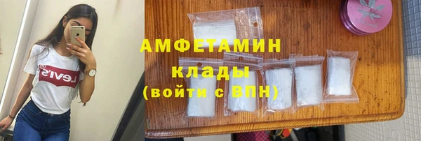 ешки Гусь-Хрустальный