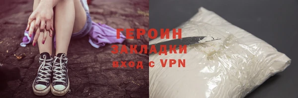прущие грибы Ельня
