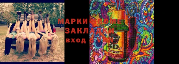 прущие грибы Ельня