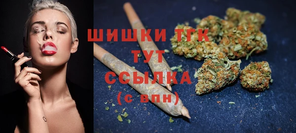 ПСИЛОЦИБИНОВЫЕ ГРИБЫ Заволжье