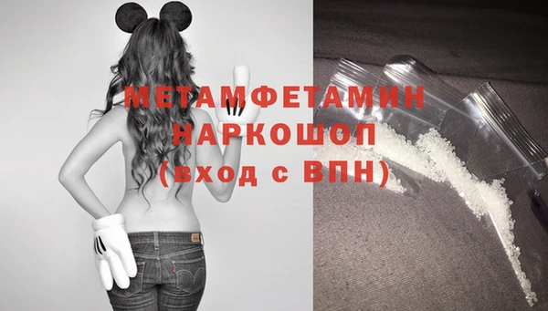прущие грибы Ельня