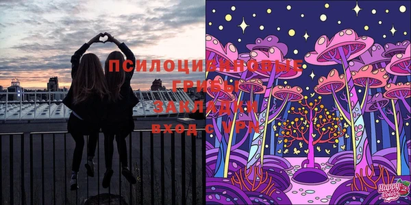 мдма Елизово