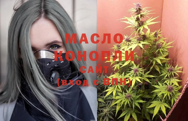 экстази Гусев