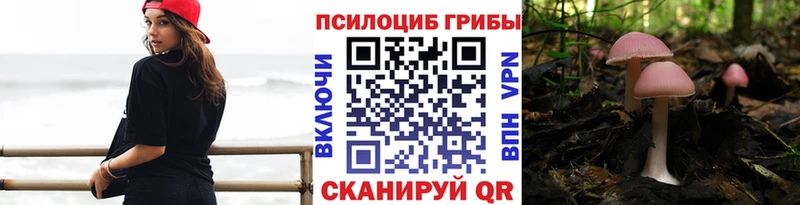 Псилоцибиновые грибы ЛСД Лебедянь
